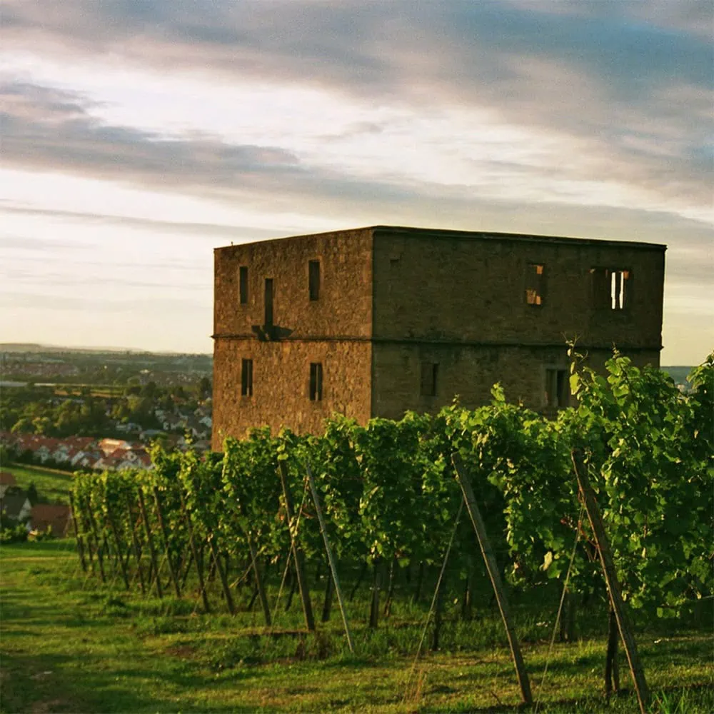 fahrion karriere arbeiten wo andere urlaub machen burg kernen stetten im remstal