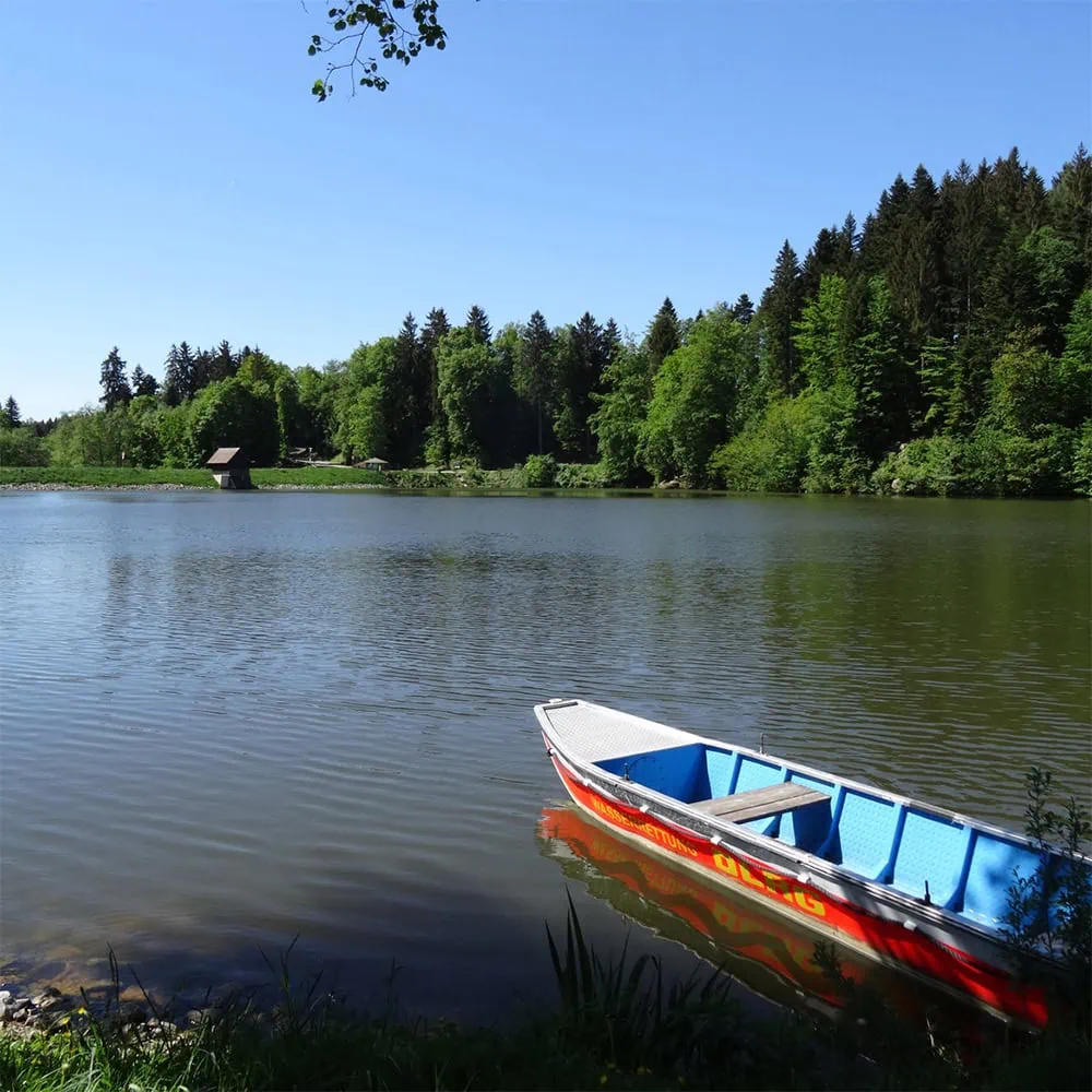 Ruderboot mit der Aufschrift 'DLRG' am Ufer des Ebnisees im Welzheimer Wald, umgeben von Wald und einem kleinen Gebäude im Hintergrund.