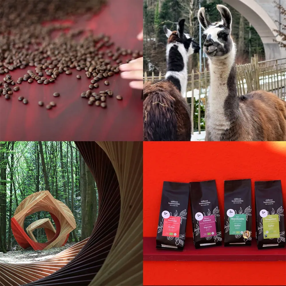 Collage aus vier Bildern: 1. Kaffeebohnen, die von einer Hand sortiert werden. 2. Zwei Alpakas im Freien. 3. Holzskulptur in einem Wald. 4. Vier Packungen Kaffee vor einer roten Wand.