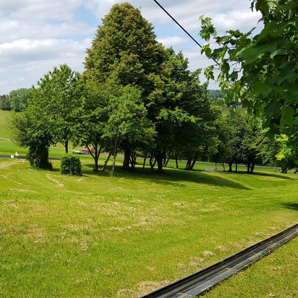 fahrion careers working where others go on vacation summer toboggan run kaisersbach